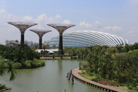 Flower Dome, Gardens by the Bay. Crédit photo : Shiny Things sur Flickr