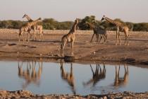 Namibie : l’écotourisme naturellement