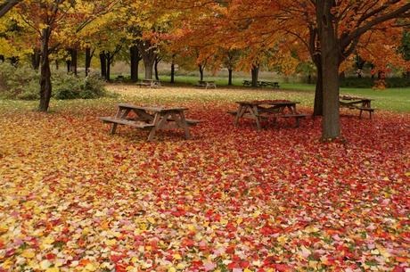 L’automne au Canada