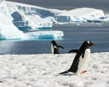 il y a 10 ans, j'embarquais pour l'Antarctique
