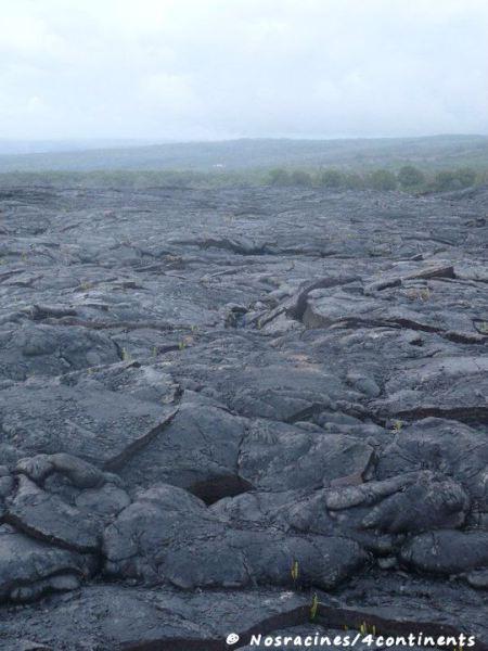 La lave durcie et inégale sur laquelle nous avons marché sur 8 kilomètres