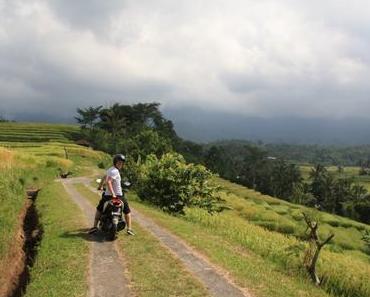 7 choses à savoir avant de louer un scooter à Bali