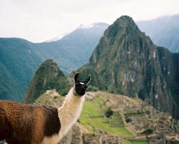 Conseils pratiques: voir le Machu Picchu et survivre