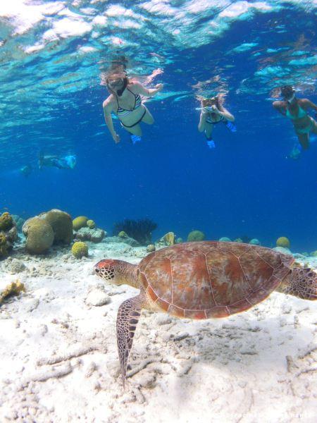 En plongée sur l'île de Klein Bonaire, une expérience qui aurait été plus difficile à vivre avec de jeunes enfants... quoique j'étais alors enceinte de deux mois!