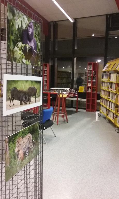 Exposition photo « Savane » à voir près de Grenoble Expo photo au cœur de la bibliothèque