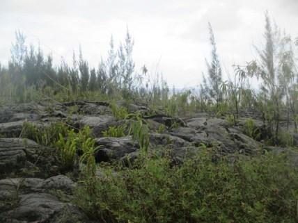 coulée de lave Réunion