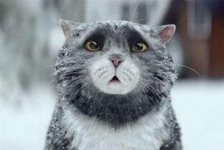 Christmas ads 2015 top 10
