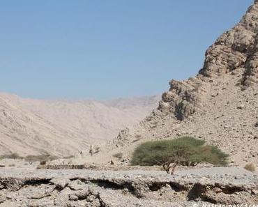 Trois façons de découvrir les montagnes de Ras al Khaimah