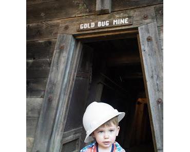 La mine Gold Bug de Placerville