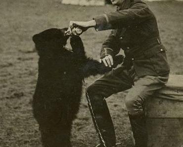 The real Winnie the Pooh