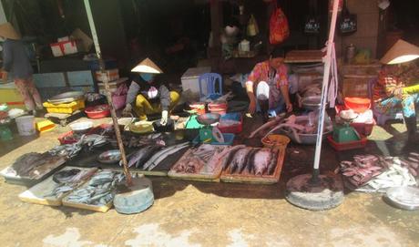 marché aux poissons Duong Dong Phu Quoc