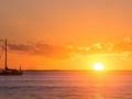 _DSC0066 _DSC0066