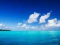 _DSC0293 _DSC0293
