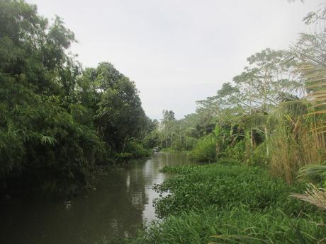 petit canal delta du Mékong