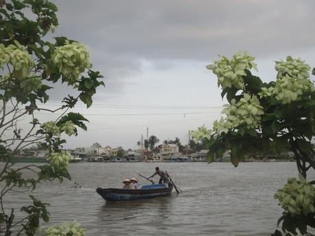 embarcations sur le Mékong Cân Tho