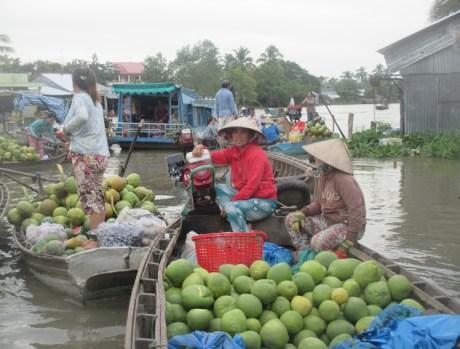 Marché flottant Phong Dien sur le Mékong