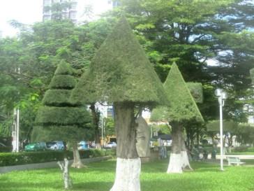 arbres taillés Nha Trang