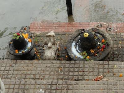 Haridwar, ville sainte et temps humide