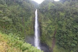 Akaka falls Big Island Hawaii