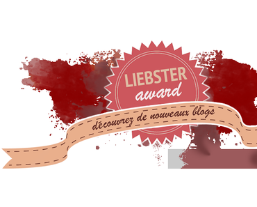Liebster Award : Mon cadeau de noël pour 2015 !