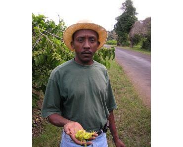 Il était une fois... Nosy Be : De Saint-Denis à Ambataloaka via Diego Suarez
