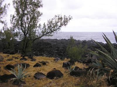 Il était une fois ... La Réunion : West Coast