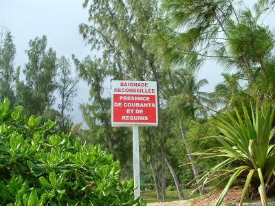 Il était une fois ... La Réunion / Nosy Be : un choix risqué ?