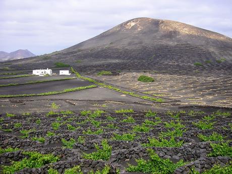 Il était une fois ... Lanzarote : tour d'horizon