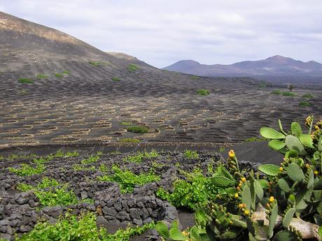 Il était une fois ... Lanzarote : tour d'horizon