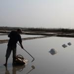 Cambodge - Marais salants