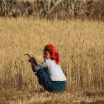 Trek au Myanmar : Kalaw – Lac Inle
