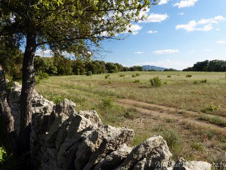 Le Rocher du Causse