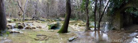 Le moulin de Lafous