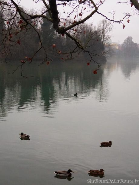 La rive gauche du Rhône