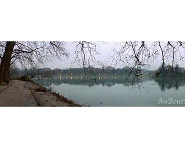 Lyon, Décembre 2014