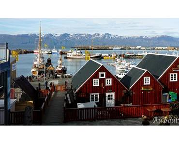 Húsavík et les gorges de Jökulsárgljúfur