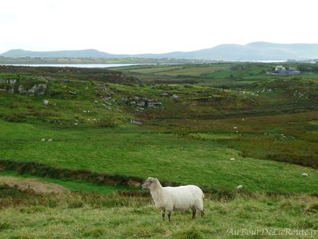 La Péninsule d’Iveragh