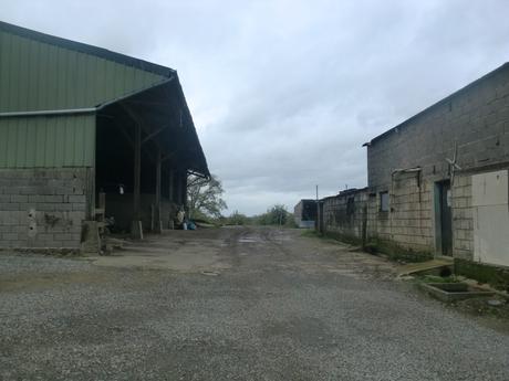 Mayenne : la reine des pommes !