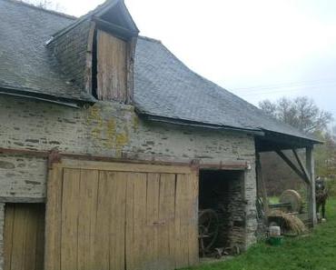 Mayenne : la reine des pommes !