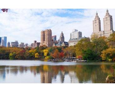 Top 3 des destinations idéales pour runners