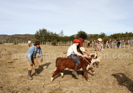 Gauchos