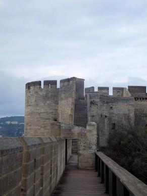 villeneuve lès avignon gard fort saint-andré