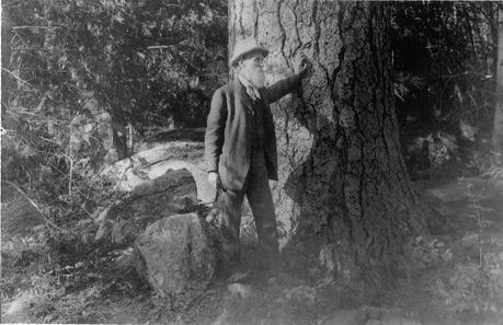 Muir Woods : Une balade la tête dans les arbres