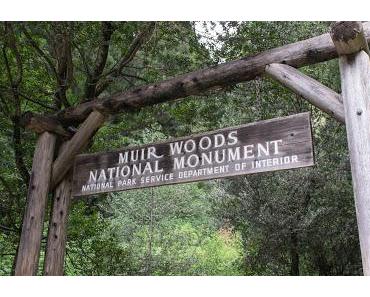 Muir Woods National Monument