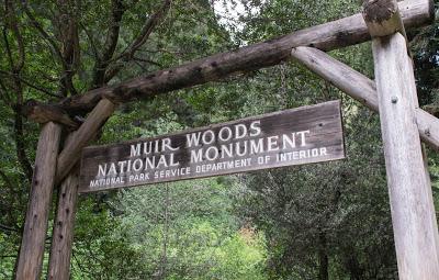 Muir Woods National Monument