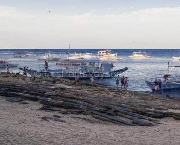 Ile d’Apo – Snorkeling au paradis des tortues