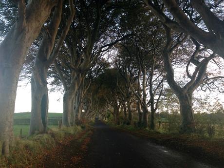 Irlande : Sur les traces de Jon Snow