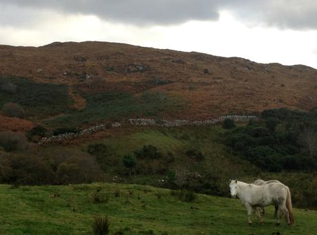 Irlande : Connemara