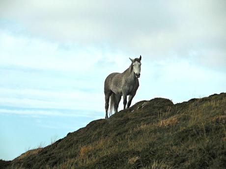 Irlande : Sky Road – Clifden