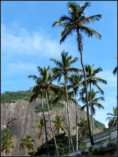 Rio de Janeiro : La belle tropicale en 3 plages mythiques